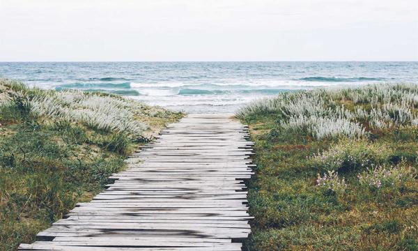 AI启幕2026商家大会