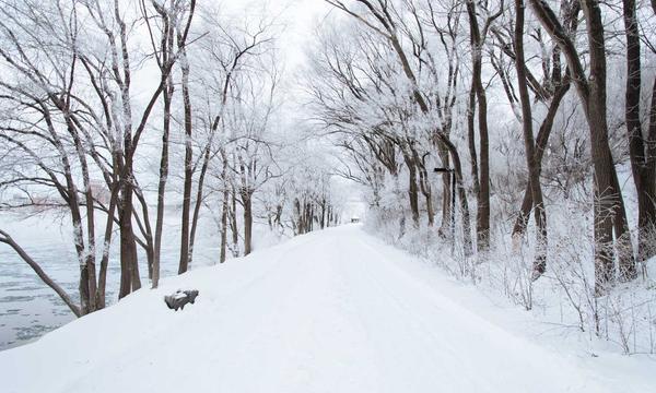 亚马逊春耕大会